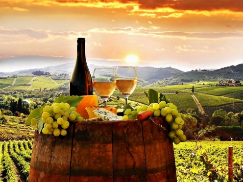 Wine tasting small group Tuscany