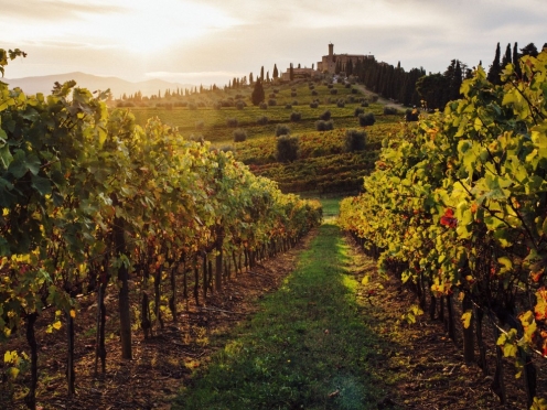 Tuscany in One Day visit Pienza , Siena