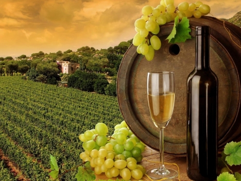 Wine tasting small group Tuscany