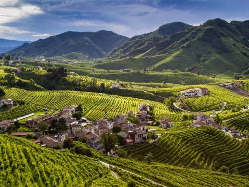 Prosecco day tour from Venice