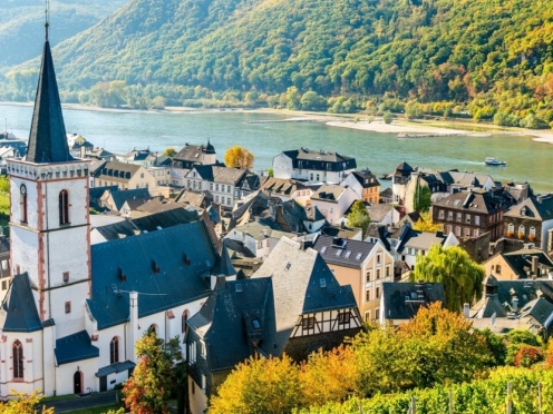Rhine Valley trip including Rhine river cruise