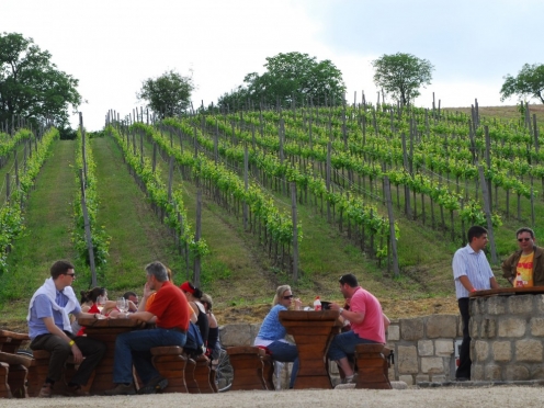 Etyek Wine Country from Budapest