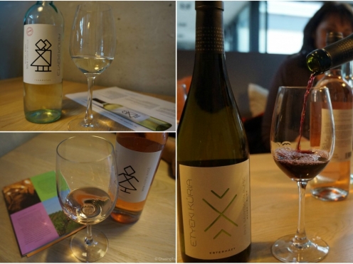 Etyek Wine Country from Budapest