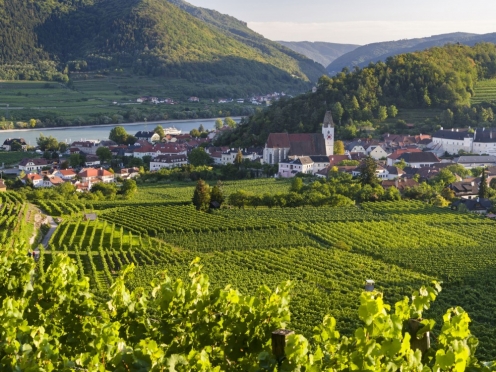 Wachau Valley Small Group