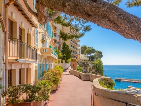 Half day sightseeing nice