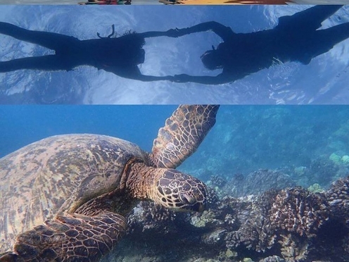 Sea Kayak , Snorkel , Dive at Elaphite Islands Tour from Dubrovnik 