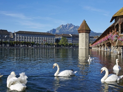 Lucerne City Bike & walking tour with Boat ride 