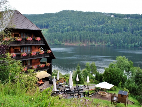 Black Forest [ Germany] & Rhine falls 7 hours trip