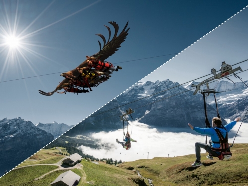 Sky Diving / Paragliding