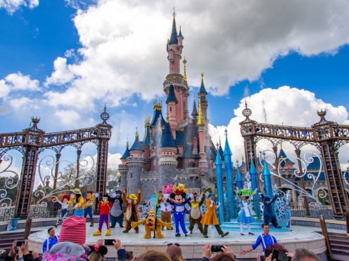 Disneyland with ticket and transfer