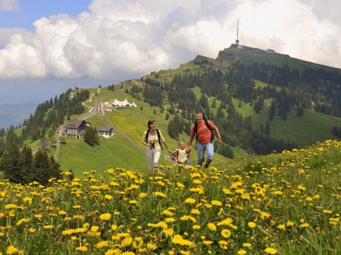 Mount Rigi