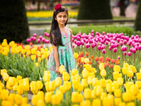 Keukenhof gardens and tulip farms. [April to June]