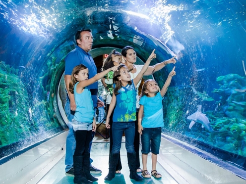 Sea Life Aquarium & London Dungeon