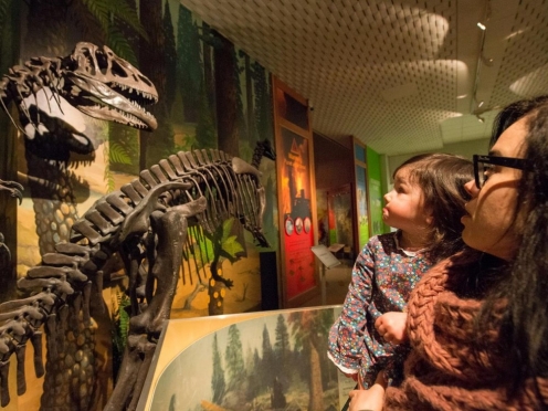 Liverpool Cathedral , World Museum Liverpool