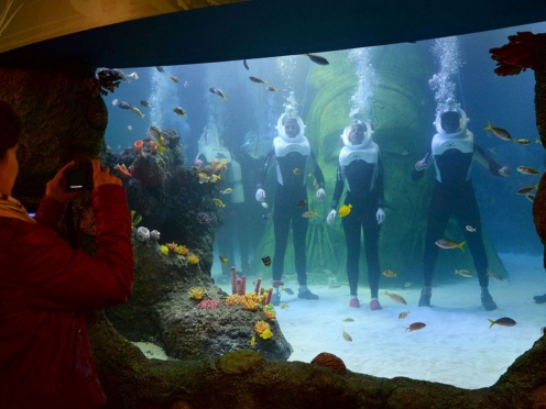 Heaton Park & Sea Life Manchester 