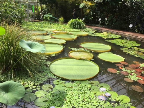 Royal Botanic Garden Edinburgh