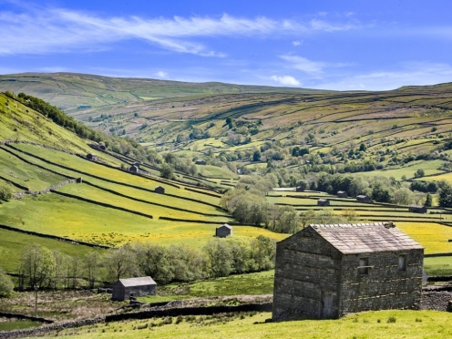 Yorkshire Dales [ Day Trip ]