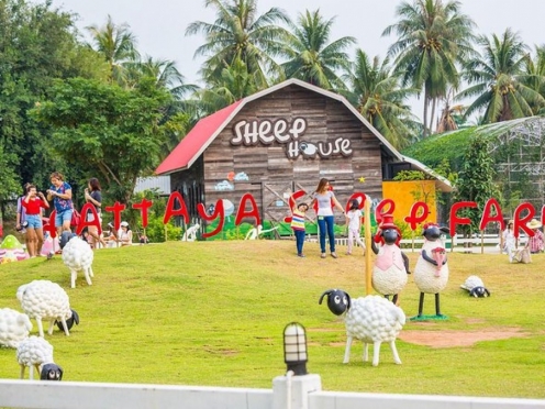 Pattaya Sheep Farm
