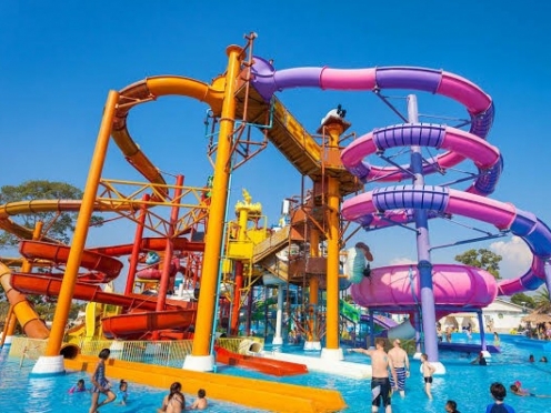 Cartoon Network Amazone