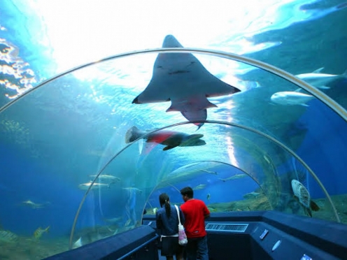 Underwater World Pattaya