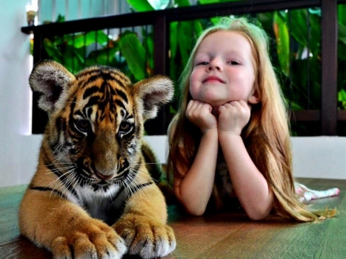 Tiger Park – Pattaya