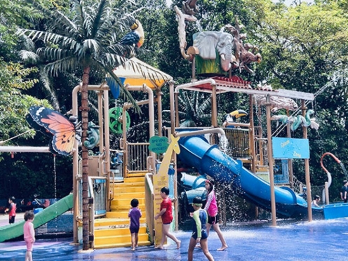 Rainforest Kidzworld