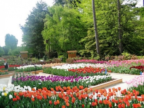 Parc floral de Paris