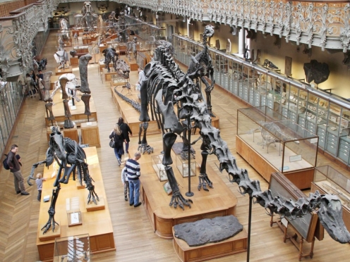 National Museum of Natural History