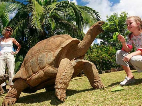 La Vanille Crocodile Park