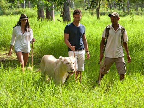 Casela World of Adventures