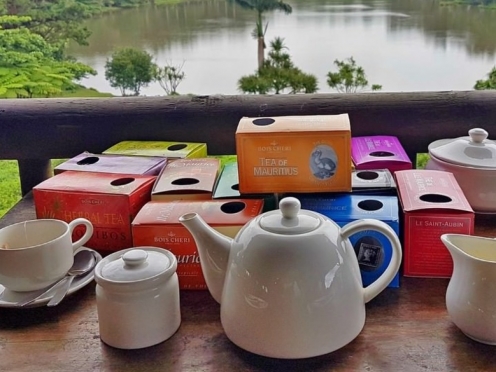 Bois Cherry Tea Factory