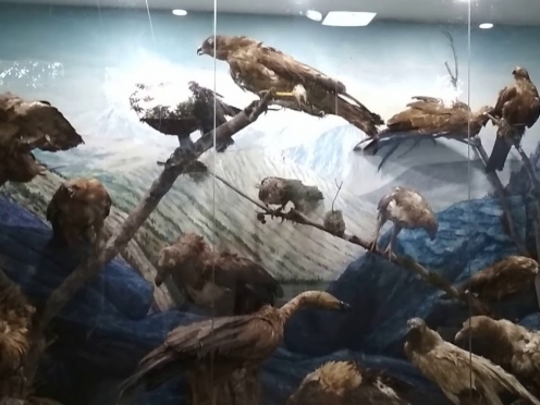 Bengal Natural History Museum