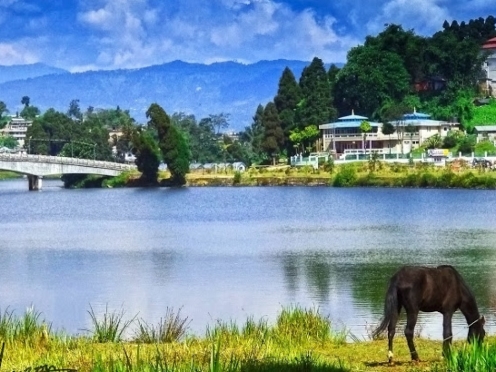 Mirik Lake Attraction 2