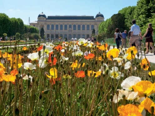 Botanical garden in Paris Jardin des Plantes