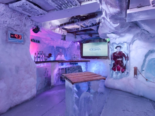 Ice bar experience.