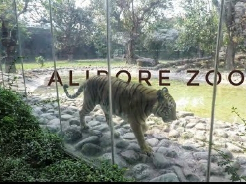 Alipore Zoo