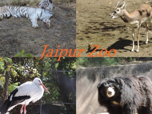 Jaipur Zoo