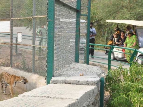 SajjanGarh Biological Park