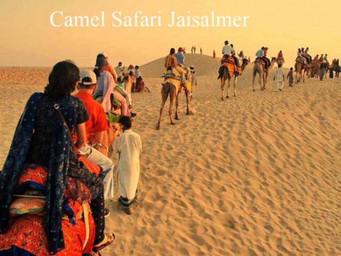 Real Desert Man Camel Safari Jaisalmer