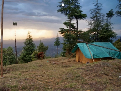 Shimla Reserve Forest Sanctuary 