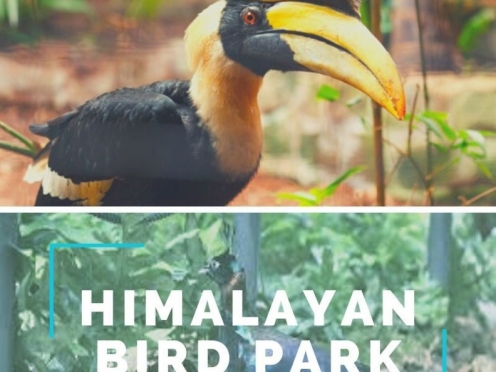 Himalayan Bird Park 