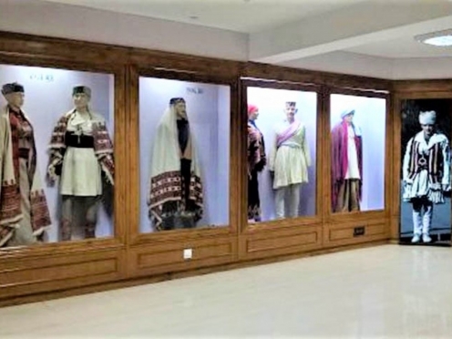 Himachal State Museum 
