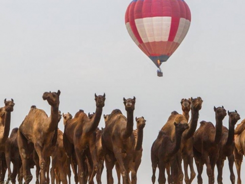 Hot Air Balloon in Pushkar