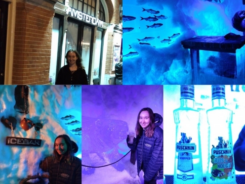 Ice bar experience