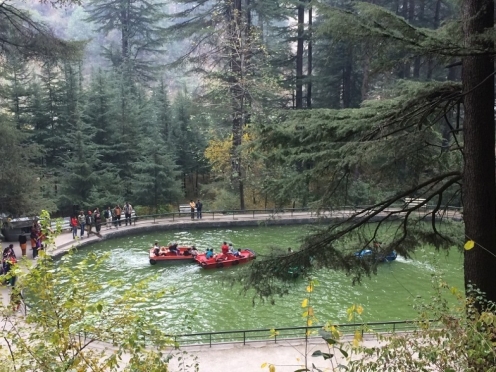 Van Vihar NH 21 Himachal Park 