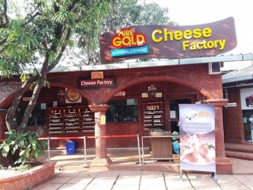 Pure Gold Cheese Factory 