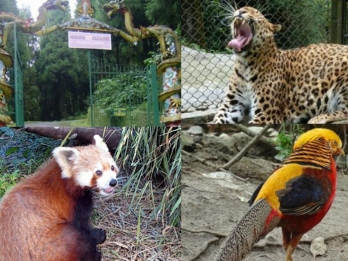 Sikkim Himalayan Zoological Park 