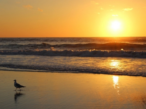 Sunrise View Point Rock Beach 
