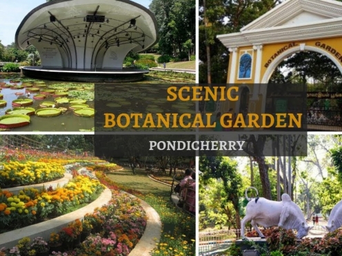 Botanical Garden