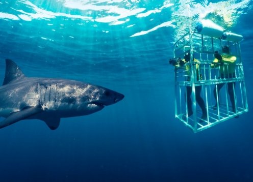 Your South African Adventure